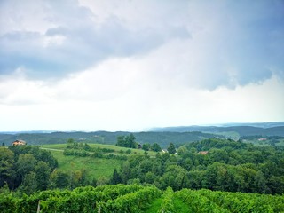 Steiermark Österreich Landschaft im Sommer