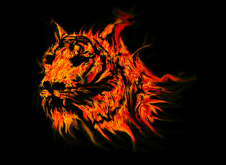 tiger fire symbol