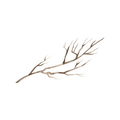 Watercolor painted and inked drawing wood twig, imitation, isolated on white, forest tree, natural tree branch, stick, handmade driftwood forest floor pickups. Rustic watercolor art.