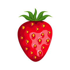 fresh strawberry fruit nature icon