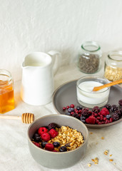 Granola with berries, yoghurt and honey. Raspberries, blueberries, currants.