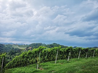 Fototapeta na wymiar Südsteiermark in der Dämmerung