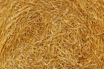 Straw bales texture