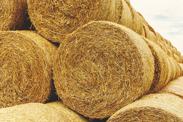 Stack of straw bales