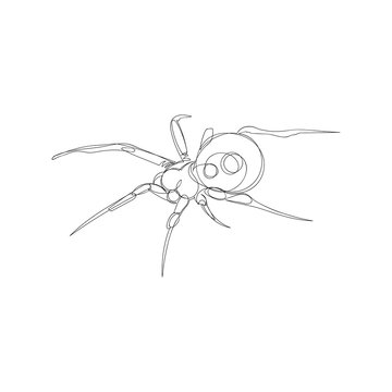 spider. one line. vector image of an insect. poisonous insect