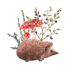 Watercolor hedgehog illustration © zenina