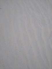 texture of white wall