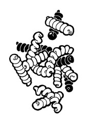 Pasta. Fusilli. Ink hand drawing. Black and white. Food, vegetables and fruit isolated on white background. Book illustration, recipe, menu, magazine or journal article.