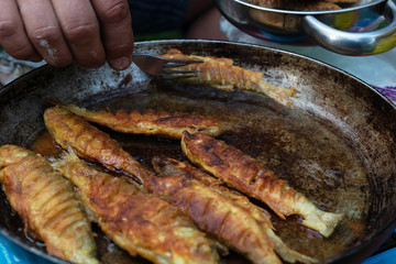 cooking fried fish in a pan. close-up. camping cooking