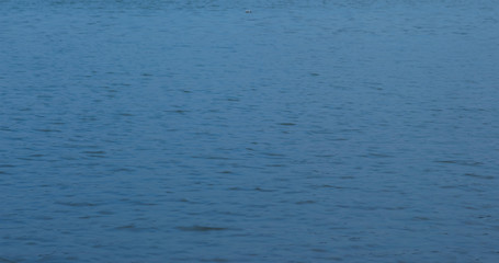 Silent sea surface with little water wave