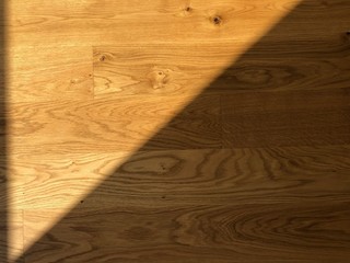 Shadow of the sunlight on parquet floor.