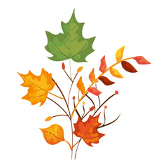 autumn branch and dry maple leafs decoration