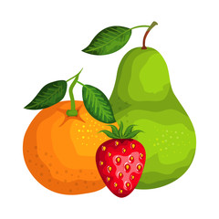 group of fresh fruits nature