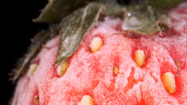 Extreme closeup of fresh frozen strawberries, Rotation 360 degrees, Close-up