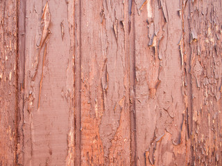 Background in the form of an old wooden wall with peeling paint.