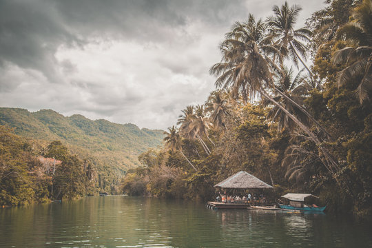 Bohol jungle, tarsier and chocolate hills, in Cebu, Philippines