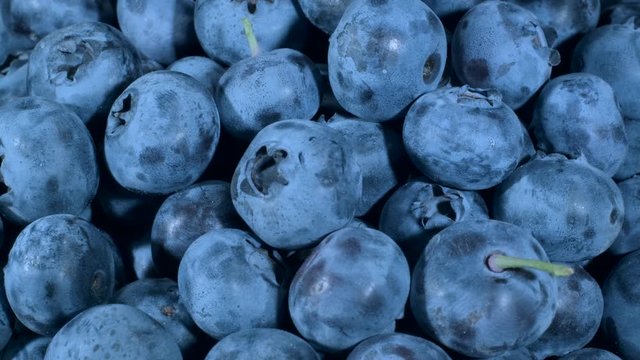  Detail of Blueberries. Macro Rotate of blueberries. Close-up, Camera rotation 360 degrees. Bog bilberry, bog blueberry, northern bilberry or western blueberry (Vaccinium uliginosum)