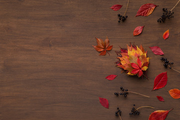 Bouquet of colored dry leaves and berries on wooden floor
