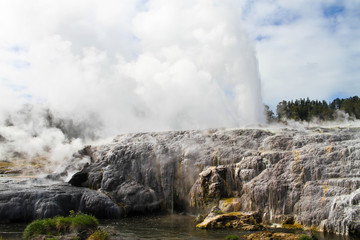 Rotorua Geyser