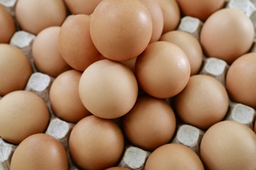 fresh eggs in a paper large tray