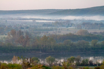 morning reeds mist fog and surface on the river