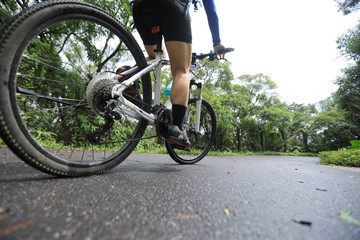 Woman cyclist riding mountain bike on tropical rainforest trail