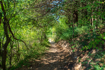 Lungo il sentiero 168 Gola di Jana nelle Marche