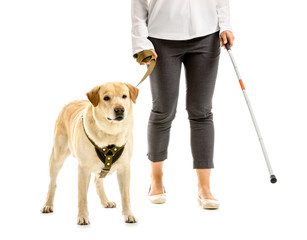 Young blind woman with guide dog on white background