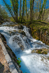 Plitvice Lakes national park and most amazing waterfall scenery in Spring.