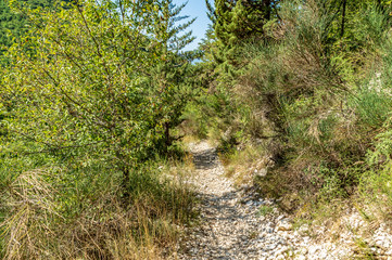 Lungo il sentiero 168 Gola di Jana nelle Marche