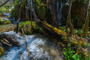 Plitvice Lakes national park and most amazing waterfall scenery in Spring.