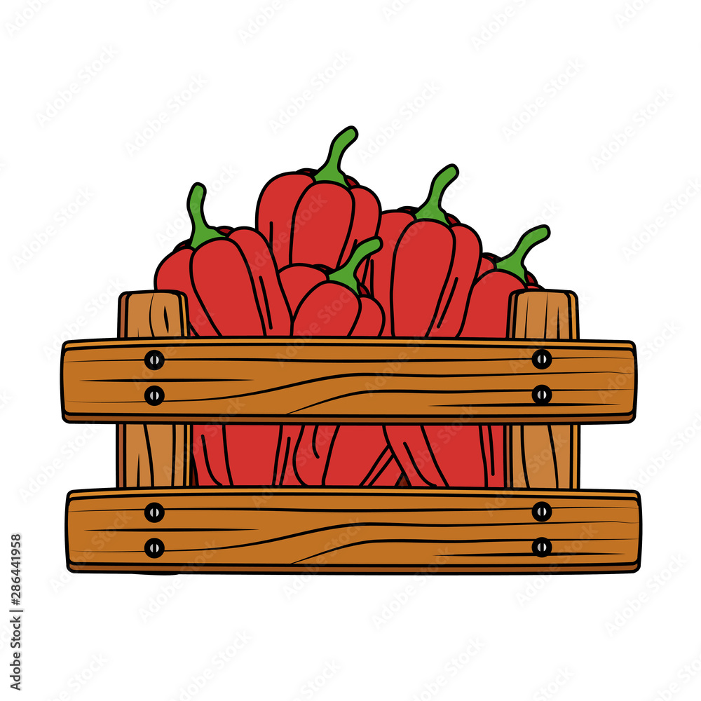 Wall mural fresh pepper vegetable in wooden box