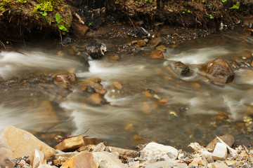 Stream of the river in the forest