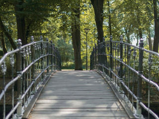 wooden bridge in park