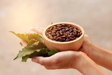 brown roasted coffee bean for healthy drink 