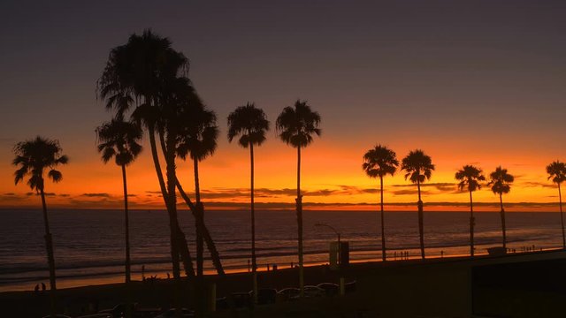 Palm Tree Sunset Oceanside California