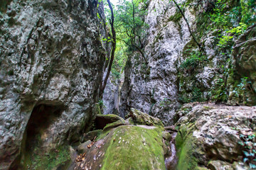 Lungo il sentiero 168 Gola di Jana nelle Marche