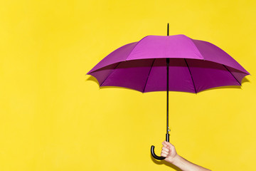 A man holds in his hand a purple umbrella on a background of yellow-lime wall. The concept of autumn, business, protection. © Chetgal 