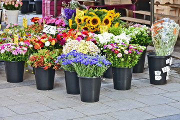 A lot mixed kind and colorful of flower for sale in on street at Munich germany.