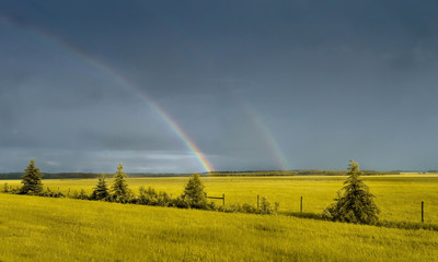paisaje en un día lluvioso con un arco iris de colores, rojo, amarillo, verde, azul, morado, con...