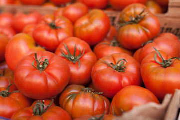 fresh tomatoes on branch in wicker baskets on counter