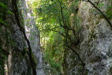 Gola di Jana nel sentiero 168 a Braccano nelle Marche