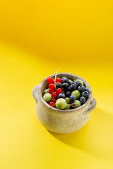 Summer berry in small cocnrete pot