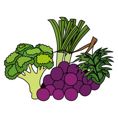 group of fresh fruits and vegetables