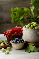 Local summer berries in bowls