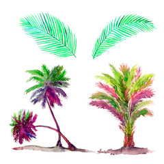 Isolated on white colorful palms set and leaves watercolor painting, illustration design element for invitation, card, print, posters