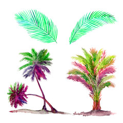 Naklejka premium Isolated on white colorful palms set and leaves watercolor painting, illustration design element for invitation, card, print, posters