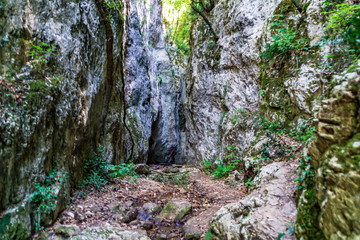 Vista lungo il sentiero 168 Gola di Jana da Braccano