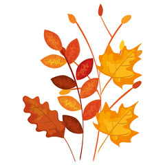 autumn branch and dry maple leafs decoration