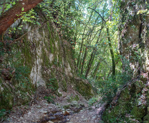 Vista lungo il sentiero 168 Gola di Jana da Braccano